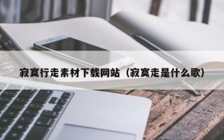 莘县寂寞行走素材下载网站（寂寞走是什么歌）