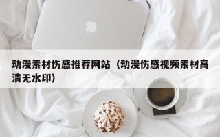 莘县动漫素材伤感推荐网站（动漫伤感视频素材高清无水印）