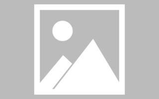 莘县巨量图标素材网站（巨量创意logo）